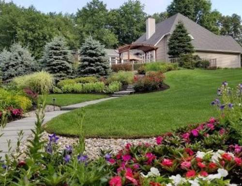 Landscaping in Katonah: Trends Every Homeowner Should Know