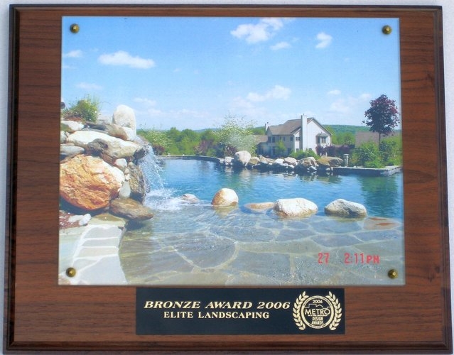 2006 bronze award1