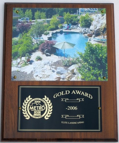 2006 gold award1