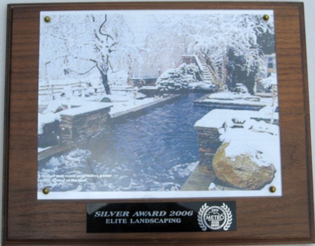 2006 silver award 21
