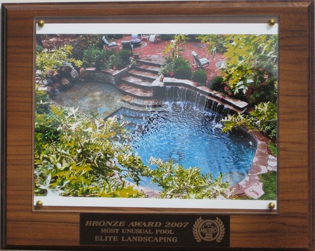 2007 bronze award most unusual pool1