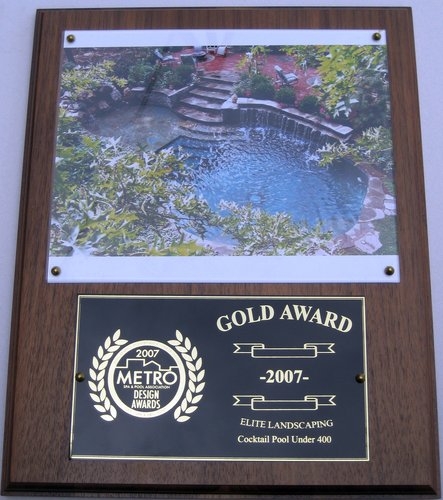 2007 gold award cocktail pool under 4001