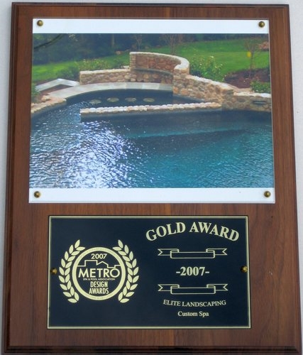 2007 gold award custom spa1