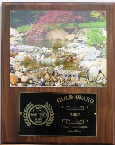 2007 gold award natural pond1