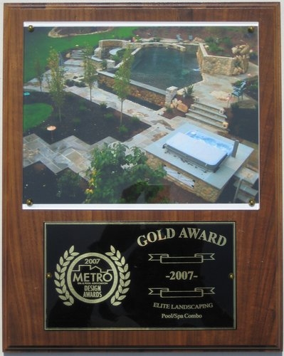 2007 gold award pools spa combo1