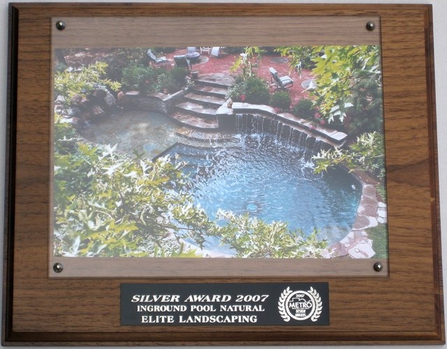 2007 silver award inground pool natural1