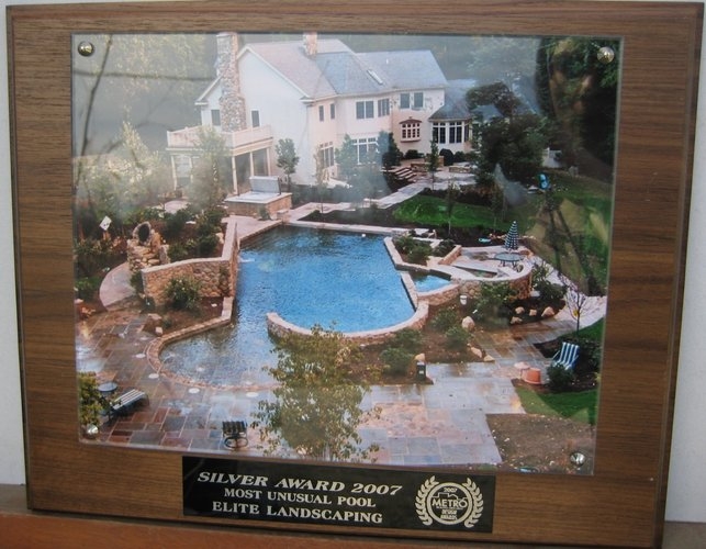 2007 silver award most unusual pool1
