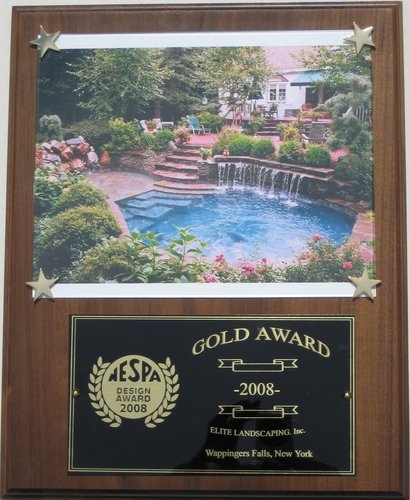 2008 gold award1