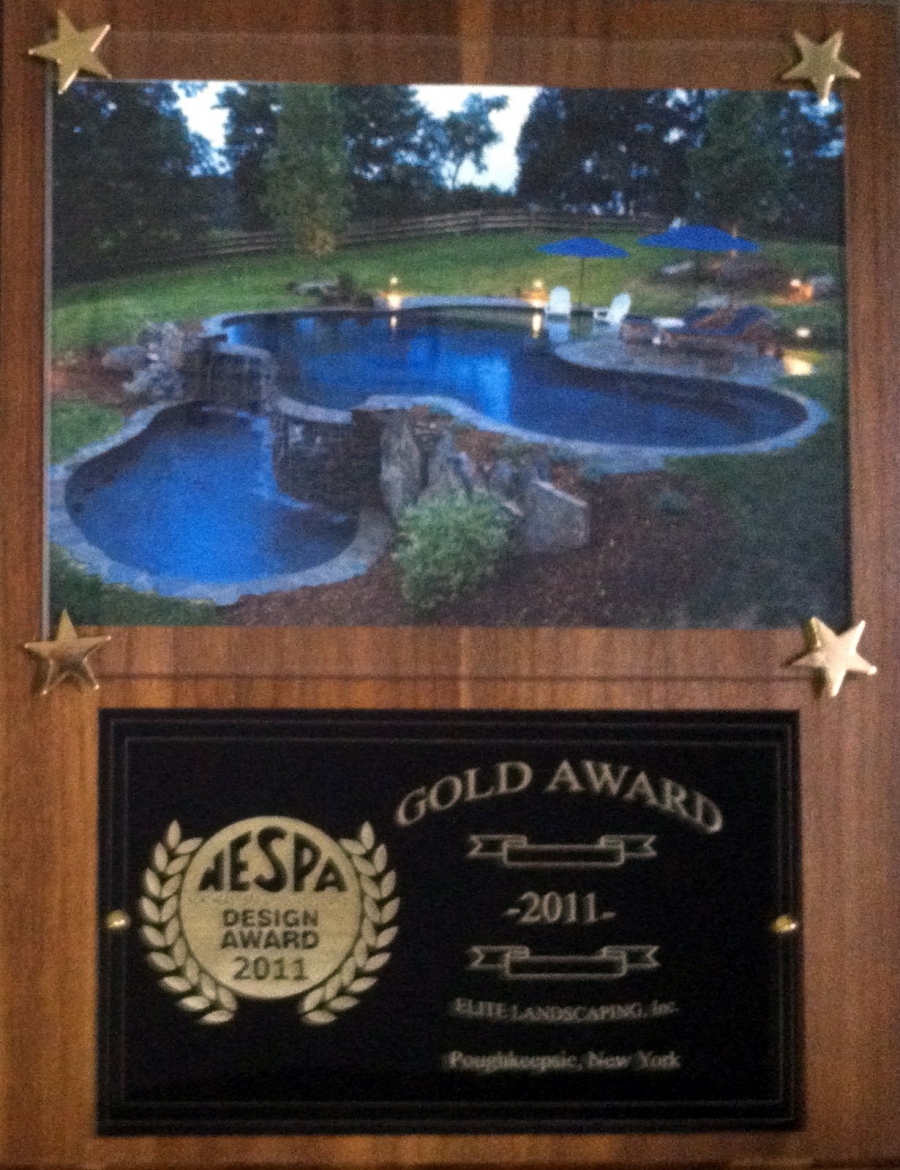 Gold Nespa Award 20111