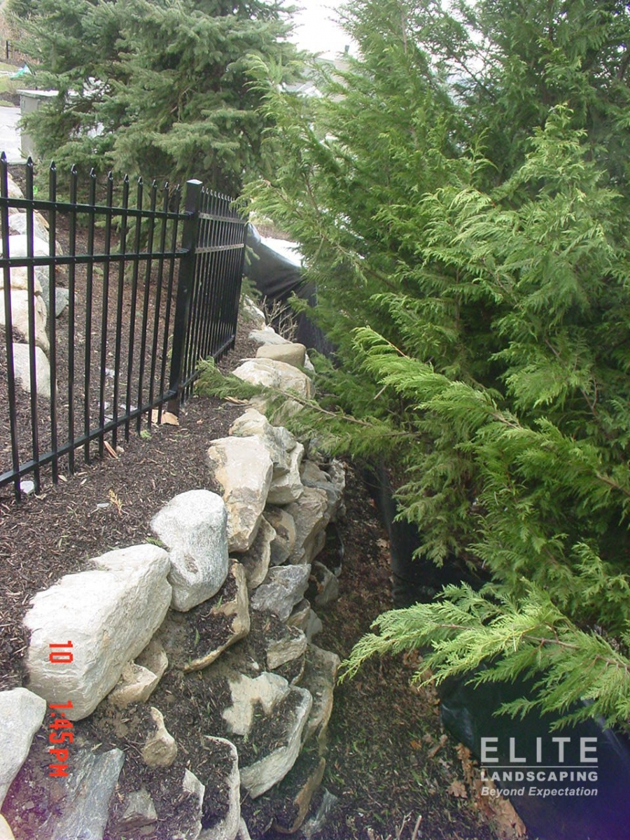 fences by elite landscaping 010