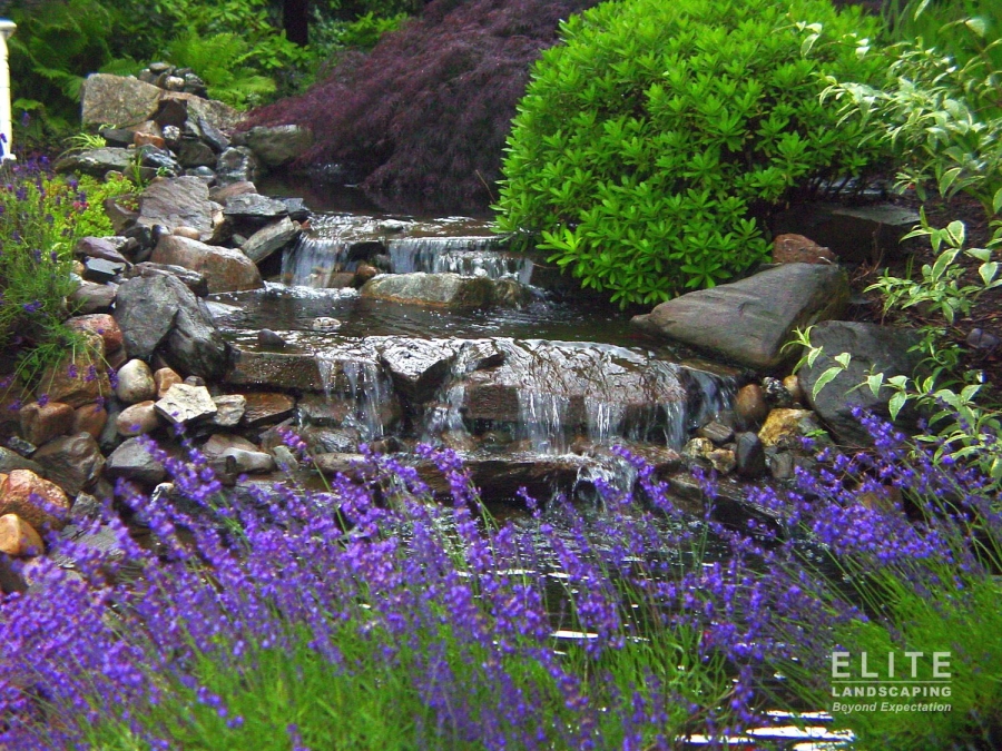 ponds and streams by elite landscaping 010