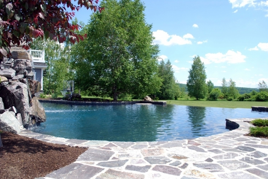 residential pool by elite landscaping 0291