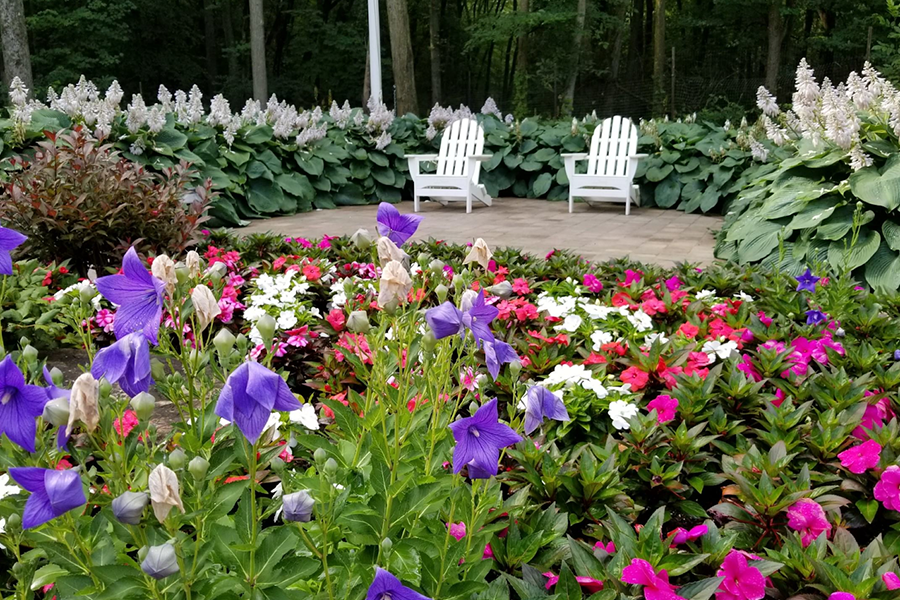 Terrace with adirondack chair surrounded by plants and flowers