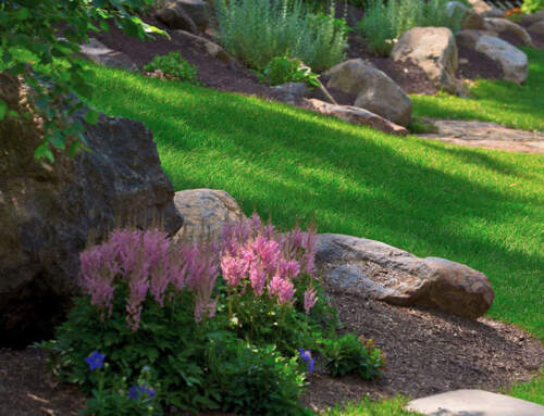 The Importance of Seasonal Maintenance: Keep Your Landscape Looking Beautiful All Year Round