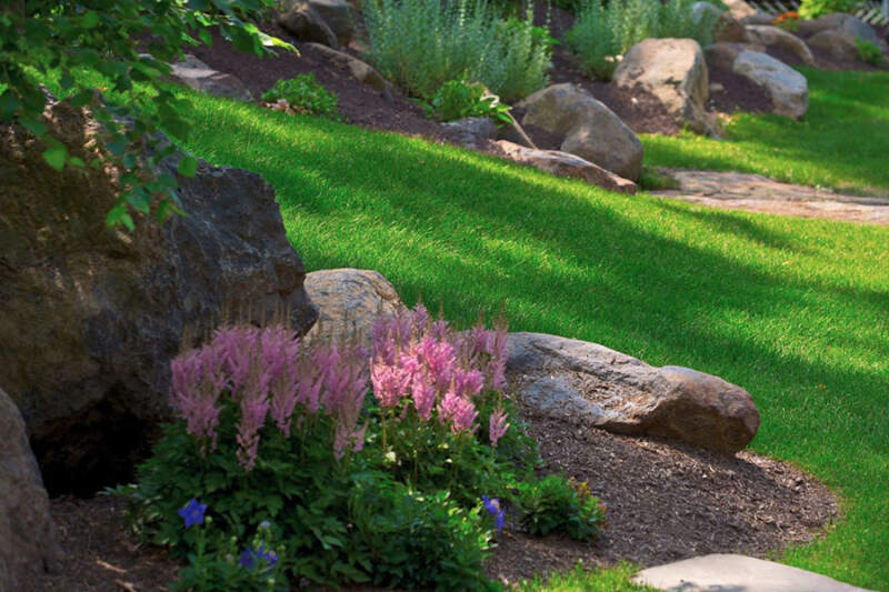 Vibrant, well-maintained landscape with lush plants and colorful flowers concept image for seasonal maintenance