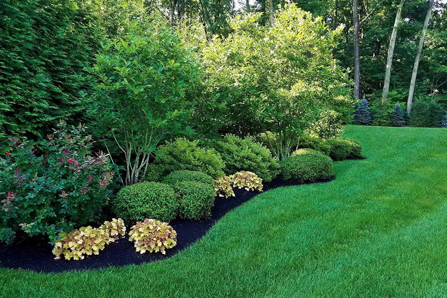 Seasonal maintenance throughout the year promotes healthy plant growth after the winter months