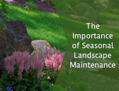 The Importance of Seasonal Landscape Maintenance: The Essential Guide