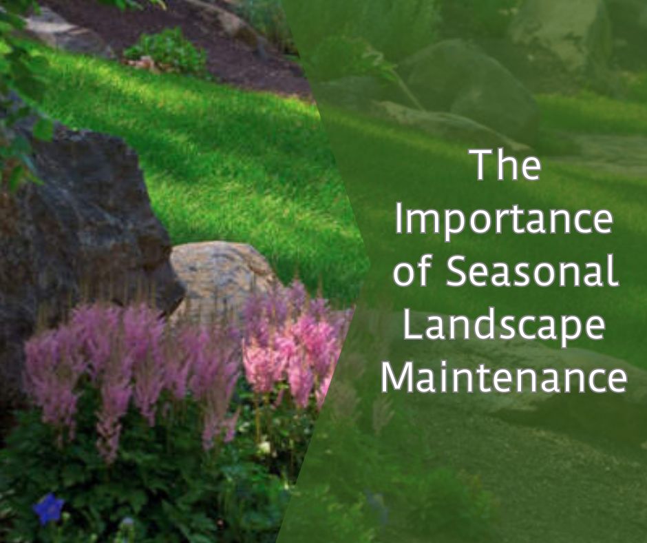 The Importance of Seasonal Landscape Maintenance: The Essential Guide