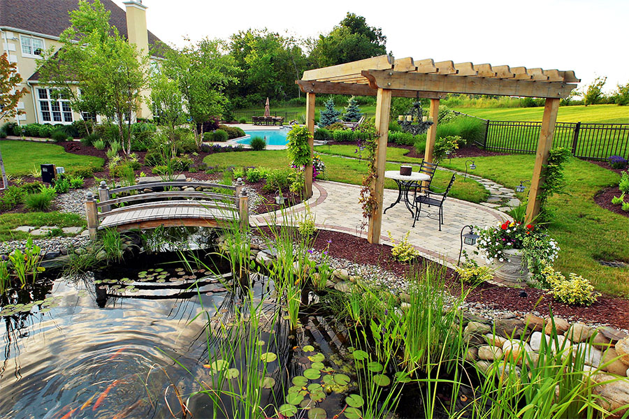 Outdoor landscaping ideas with a wooden pergola, charming bridge over a koi pond, lush greenery, and a swimming pool in the background.