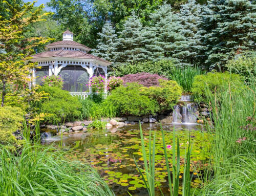 How to Plan for Seasonal Changes in Landscape Design: Achieving Year-Round Beauty with Land of ELITE