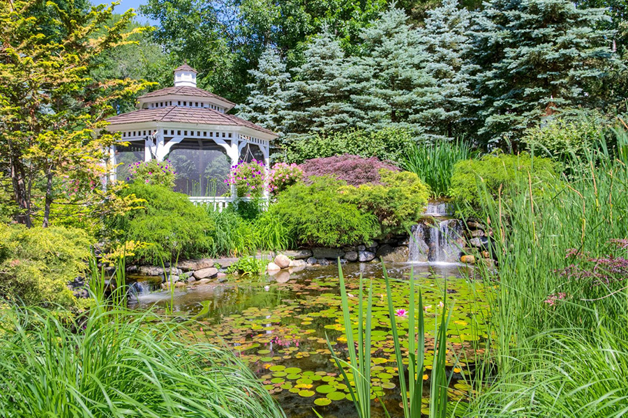 Gazebo by pond with water lilies and small waterfall, showcasing seasonal landscape design with lush greenery