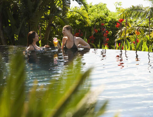 Benefits of Natural Swimming Pools in New York and Connecticut